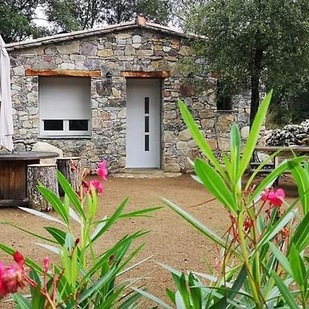 Hotel Domaine Rondini Moltifao Zewnętrze zdjęcie
